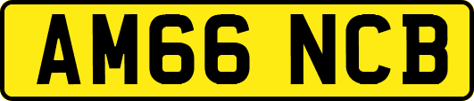 AM66NCB