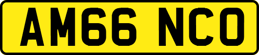 AM66NCO