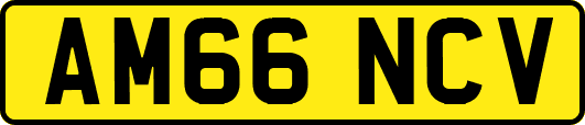 AM66NCV