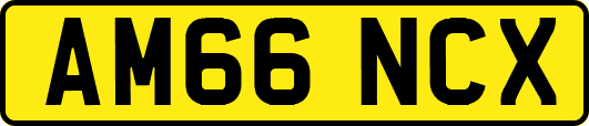 AM66NCX