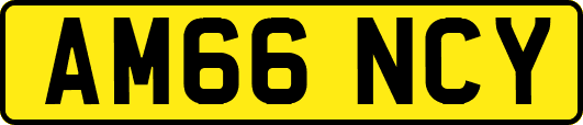 AM66NCY
