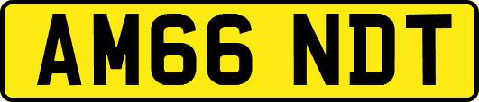 AM66NDT