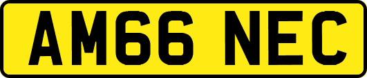 AM66NEC