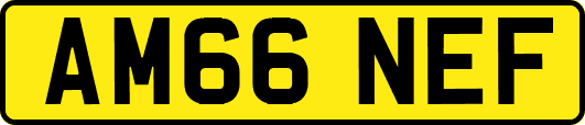 AM66NEF