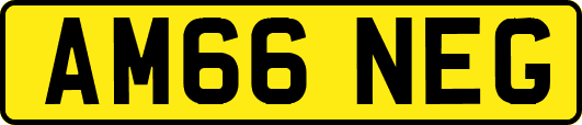 AM66NEG