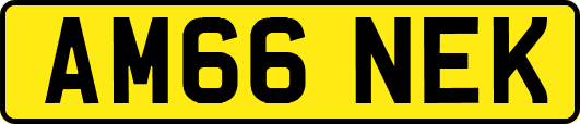 AM66NEK