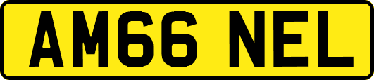 AM66NEL