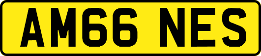 AM66NES