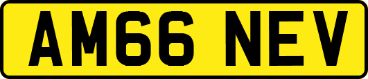 AM66NEV