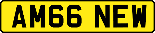AM66NEW