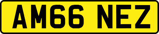 AM66NEZ