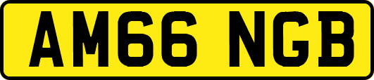 AM66NGB