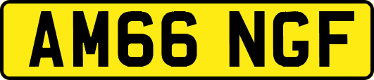 AM66NGF