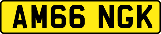 AM66NGK