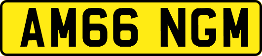 AM66NGM