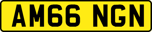 AM66NGN