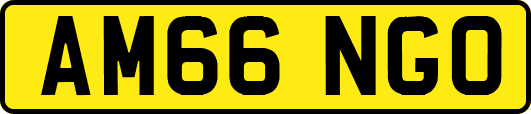 AM66NGO