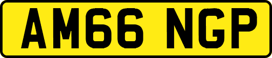AM66NGP