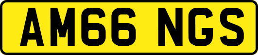 AM66NGS