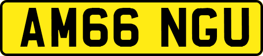 AM66NGU