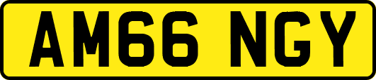 AM66NGY