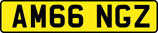 AM66NGZ