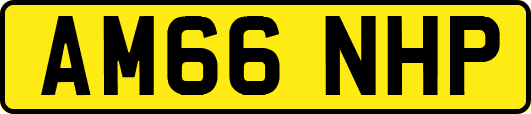 AM66NHP