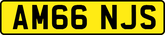 AM66NJS