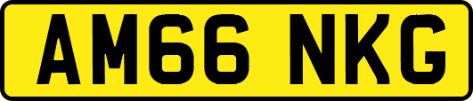 AM66NKG
