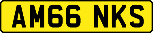 AM66NKS