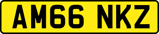 AM66NKZ