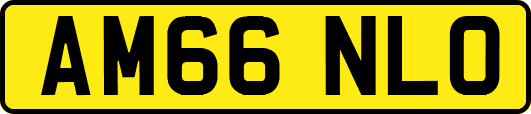 AM66NLO