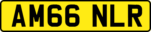 AM66NLR