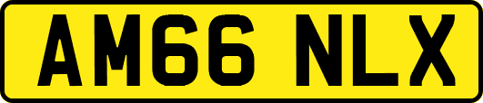 AM66NLX