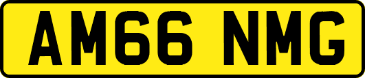 AM66NMG