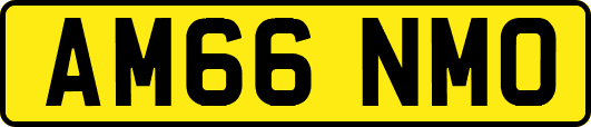 AM66NMO