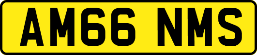 AM66NMS