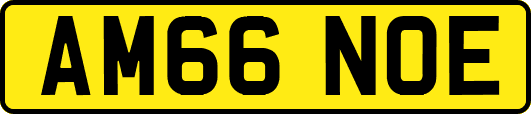 AM66NOE