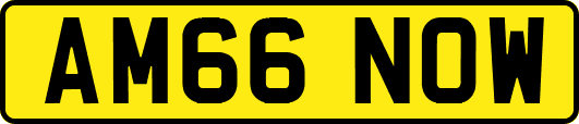 AM66NOW