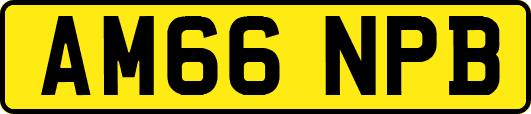 AM66NPB