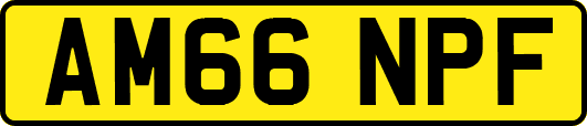 AM66NPF