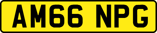 AM66NPG