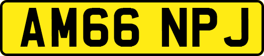AM66NPJ