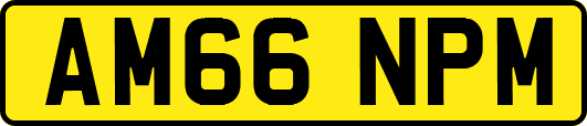 AM66NPM