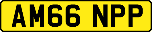 AM66NPP