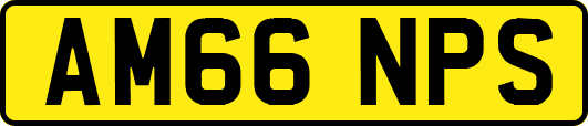 AM66NPS