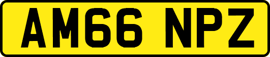 AM66NPZ