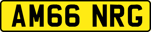 AM66NRG