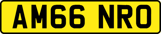 AM66NRO