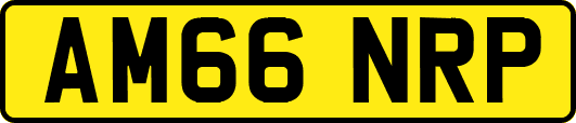 AM66NRP
